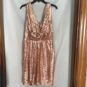 Champagne sequin dress nwot